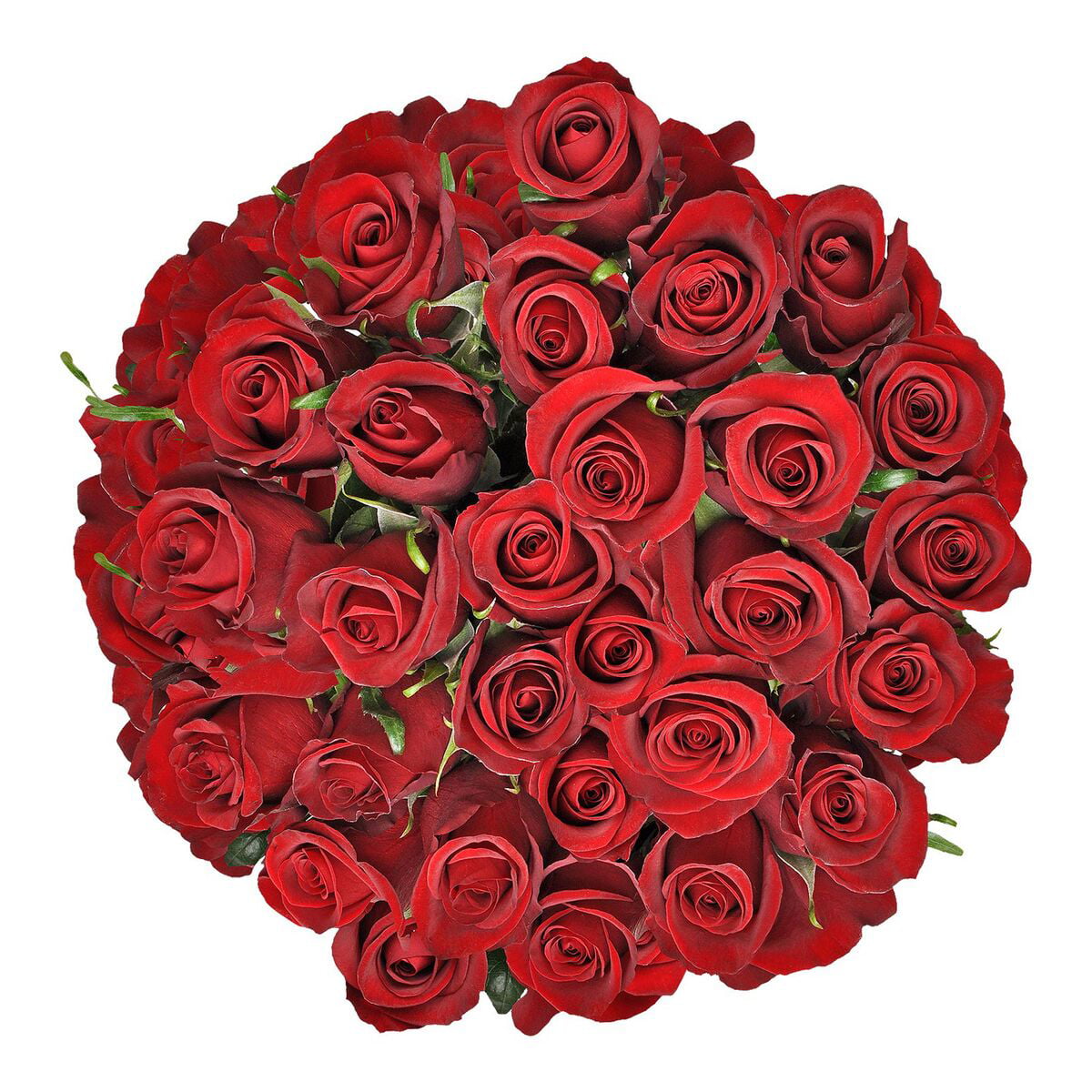 50 Red Roses with Crown bouquet - VBQ006 - Ideal Florist & Gift Shop
