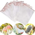 thumbnail image 1 of 50 Pieces Grapes Fruit Protection Bag. Reusable Fruit Organza Bag Mesh Mesh Bags, 1 of 5
