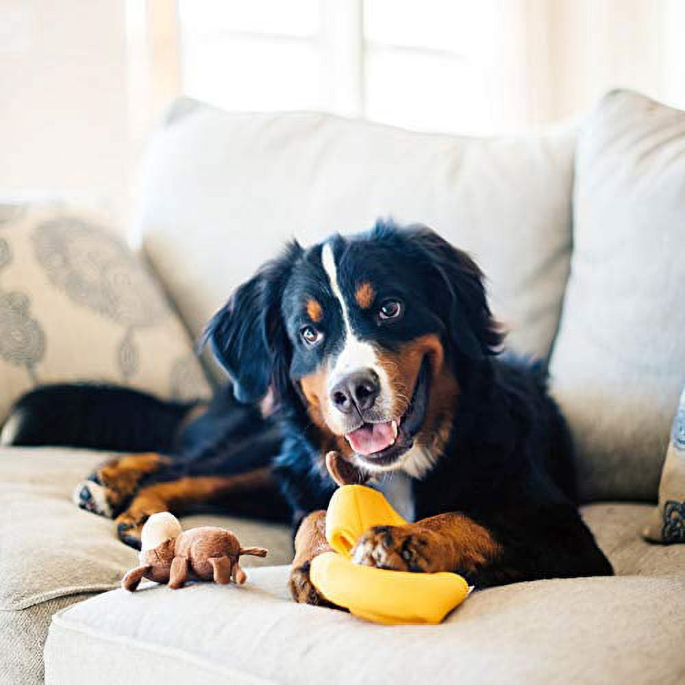 ZippyPaws - Zoo Friends Burrow, Interactive Squeaky Hide and Seek Plush Dog Toy - Monkey ?n Banana