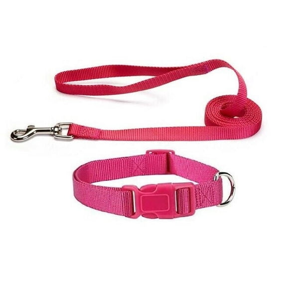 Nylon Solid Color Dog Collar and Lead 2 Piece Sets Durable Adjustable Selections (Raspberry Sorbet,xSmall)