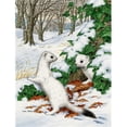 thumbnail image 1 of Stoats Short-Tailed Weasel Flag Garden Size, 1 of 1
