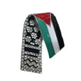 thumbnail image 1 of Broche de Paix Palestinienne pour une Déclaration Significativew E8W1, 1 of 8