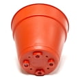 thumbnail image 4 of Maceta Prichos de Plástico Número 6 Rojo, 4 of 4