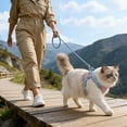 thumbnail image 4 of Escape Proof Cat Harness And Leash Adjustable Soft Mesh Vest With Reflective Strips For Walking, 4 of 4