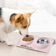 thumbnail image 4 of Comedero doble de acero inoxidable para gatos, Comedero doble para perros pequeños, Comedero doble para mascotas, Comedero doble para gatos, Comedero para gatos y perros - Rosa Xemadio QH-1069, 4 of 5