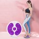 thumbnail image 5 of Placa Giratoria Tabla Disco Giratorio Cintura Imán Abs para Ejercicio Moldear El Cuerpo, 5 of 9