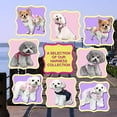thumbnail image 3 of Pooch Outfitters Dog Harness Collection | Dog Walking with Style – Extensive Selection of Unique, Fashionable Harnesses That Suit Any Taste, Mood, Occasion, 3 of 7