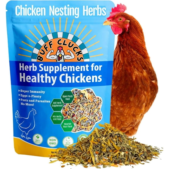 Buff Clucks Chicken Nesting Herbs for Backyard Chickens - All-Natural Aromatic Blend for Nesting Boxes & Chicken Coop - Plant-Based Herb Treat for Refreshing The Coop, Egg Production, USA (12 oz)