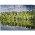 thumbnail image 1 of Trees Forest Ceramic Tile Mural Kitchen Backsplash Bathroom Shower 401715-M43, 1 of 3