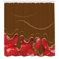 thumbnail image 3 of Ambesonne Strawberry Shower Curtain, Strawberries Chocolate, 69"Wx84"L, Brown Red, 3 of 3