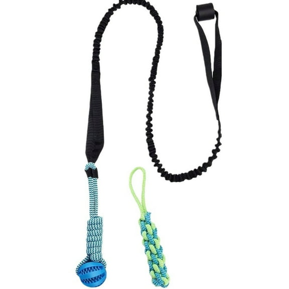 3-Piece Set Durable Chew Toy Set for Dogs in Bright Colors Pet Dental Toys