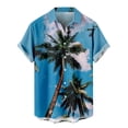 thumbnail image 1 of Camisas casuales de manga corta estilo hawaiano de moda de verano para hombres Pompotops  oipoqjl43814, 1 of 4