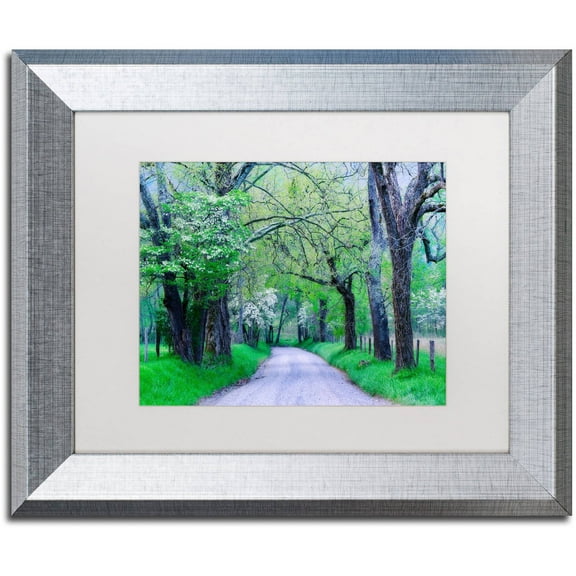 Trademark Fine Art "Cades Cove Lane" Canvas Art by Michael Blanchette Photography White Matte, Silver Frame
