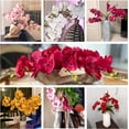 thumbnail image 2 of Artificial Flowers Faux Butterfly Orchid 4 Pcs Real Touch Double Branch Silk Flowers for Wedding Home Office Party Hotel Yard Decoration Restaurant Patio Festive Furnishing (Red), 2 of 5