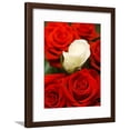 thumbnail image 1 of White rose between red roses, Botanical Framed Art Print Wall Art Sold by Art.Com, 1 of 1