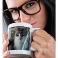 thumbnail image 2 of 3drose, Serious Grey and White Cat Teal Curtain, 11oz Magic Transforming Mug, 2 of 7