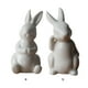 thumbnail image 3 of Injueey Figuras de conejito de cerámica, adorno de Animal de conejo blanco, estatua hecha a mano, mesa, adornos para el hogar, regalo Decoración del hogar Escribe un Injueey HA076986-01, 3 of 6