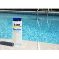 Rx Clear Stabilizer and Conditioner Pool Water Balancer for Swimming