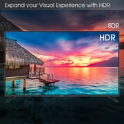 Sceptre 65 Class 4K UHD LED TV HDR U650CV-U
