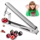 thumbnail image 4 of 3PCS Cherry Pitter Remover Stainless Steel Cherries Corer Pitter Tool, 4 of 4