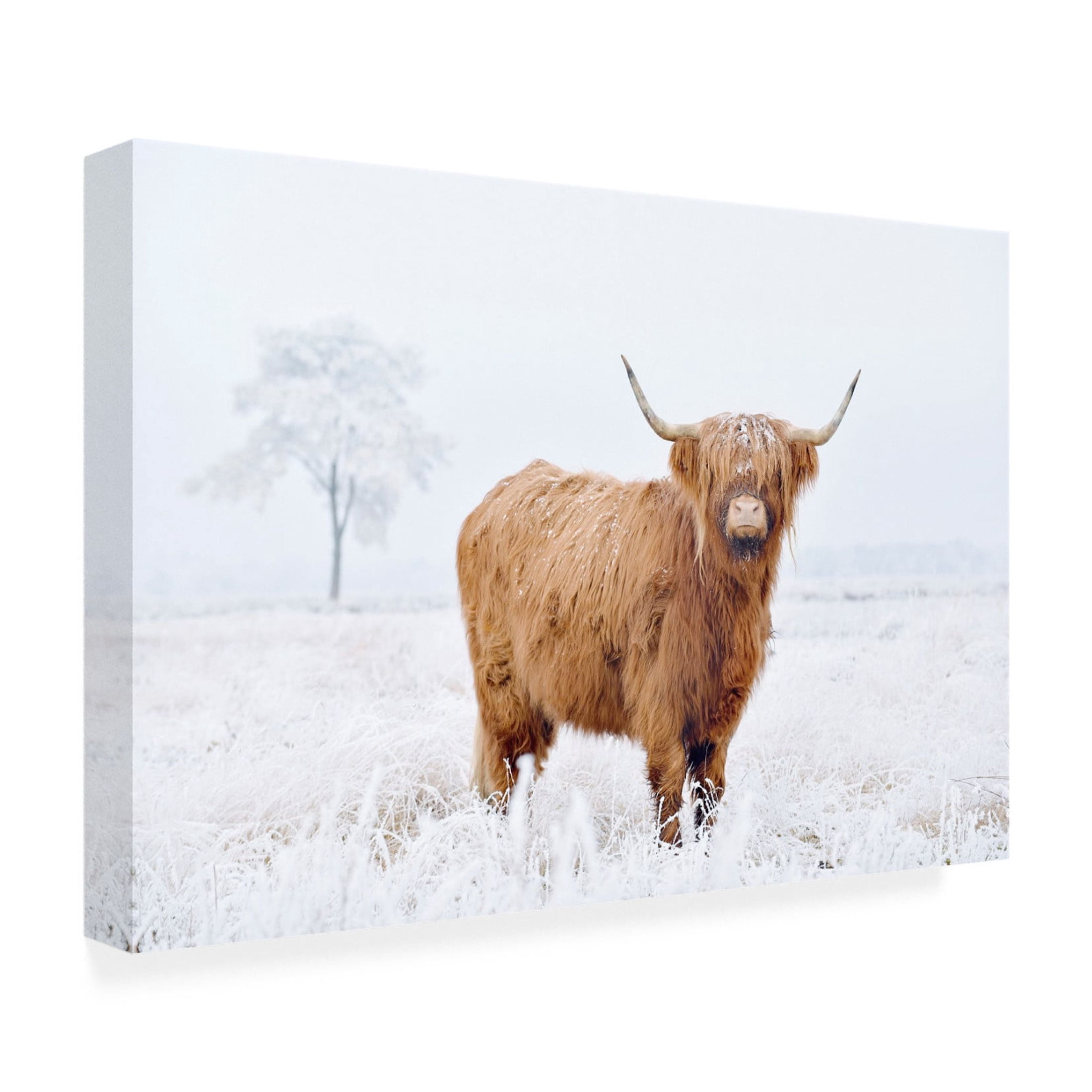 Canvas Wall Art - Krista Broadway 'Conway' Wall Art for Living Room, Bedroom, or Office Décor by Trademark Fine Art - 32 x 22 Inches