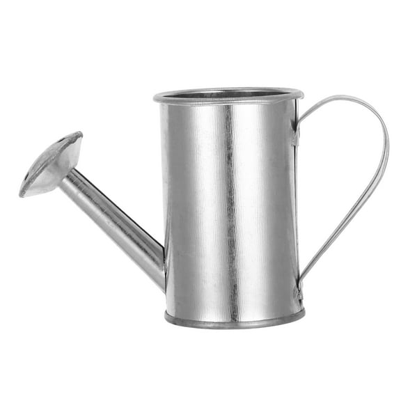 WORGEOUS Indoor Watering Can For Plant Watering Kettle Metal Watering Can Indoor Plants Watering Can Indoor Plants Metal Watering Can Watering Equipment