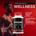 thumbnail image 4 of Stamino for Men Capsules – Stamino MultiVitamin Complex Pills, Energy, 5 Pack, 300 Capsules, 4 of 6