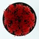 thumbnail image 3 of Fregadora de Bañera Y - Fregadora Giratoria Eléctrica Inalámbrica para , Piso, Pared, Piso, Fregadora con Cepillo (rojo, Azul, Amarillo) Rojo de 2 pulgadas, 3 of 9