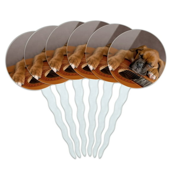 Boxer Puppy Dog Sleeping on Guitar Cupcake Picks Toppers Decoration Set of 6