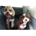 thumbnail image 2 of Bulldogology Premium SUV Cargo Liner Funda de asiento para perros – Funda de carga para maletero de mascotas, resistente al agua, respaldo antideslizante, lavable, con protección de solapa de parachoq, 2 of 5