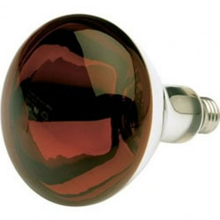 

Replacement for PHILIPS 41583-6 replacement light bulb lamp