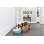 PetSafe Drinkwell Butterfly Pet Fountain - Automatic Dog and Cat Water Bowl