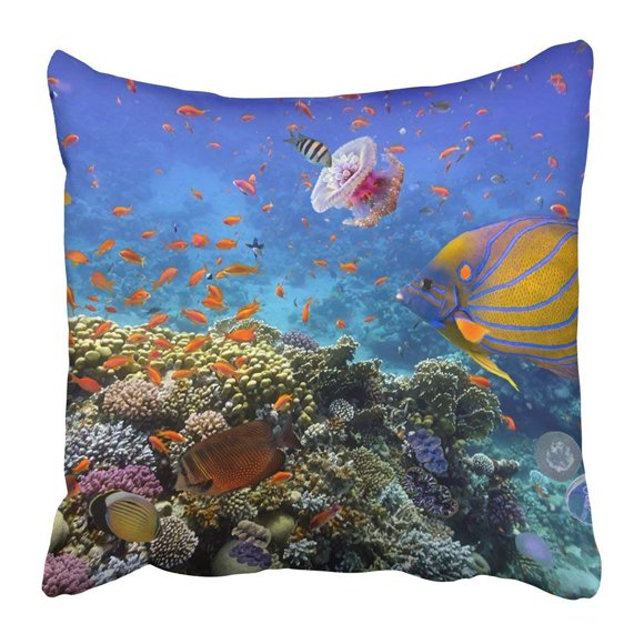 Coral Reefs Spanish Ecosystems