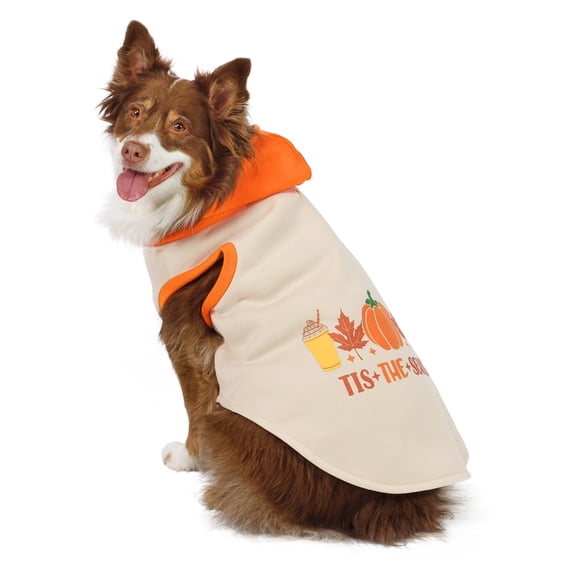 Vibrant Life Halloween Hoodie for Dogs, 'Tis the Season, Yellow and Orange, L