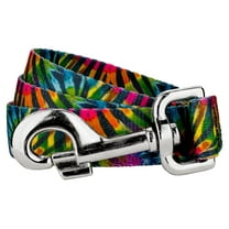 Country Brook Petz - 3/4 inch Tie Dye Stripes Dog Leash - 6 Foot