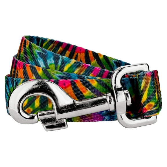 Country Brook Petz - 1 inch Tie Dye Stripes Dog Leash - 6 Foot