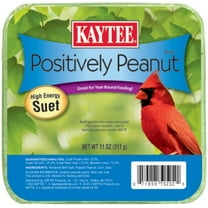 Kaytee Positively Peanut High Energy Mini Suet, 11 oz