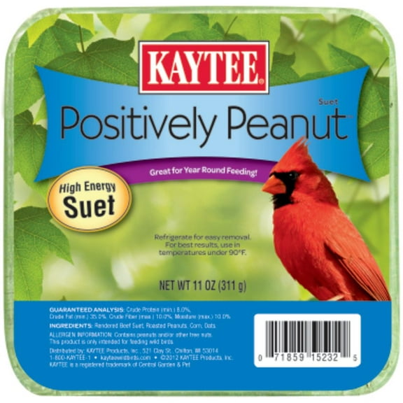 Kaytee Positively Peanut High Energy Mini Suet, 11 Ounce Pack of 1