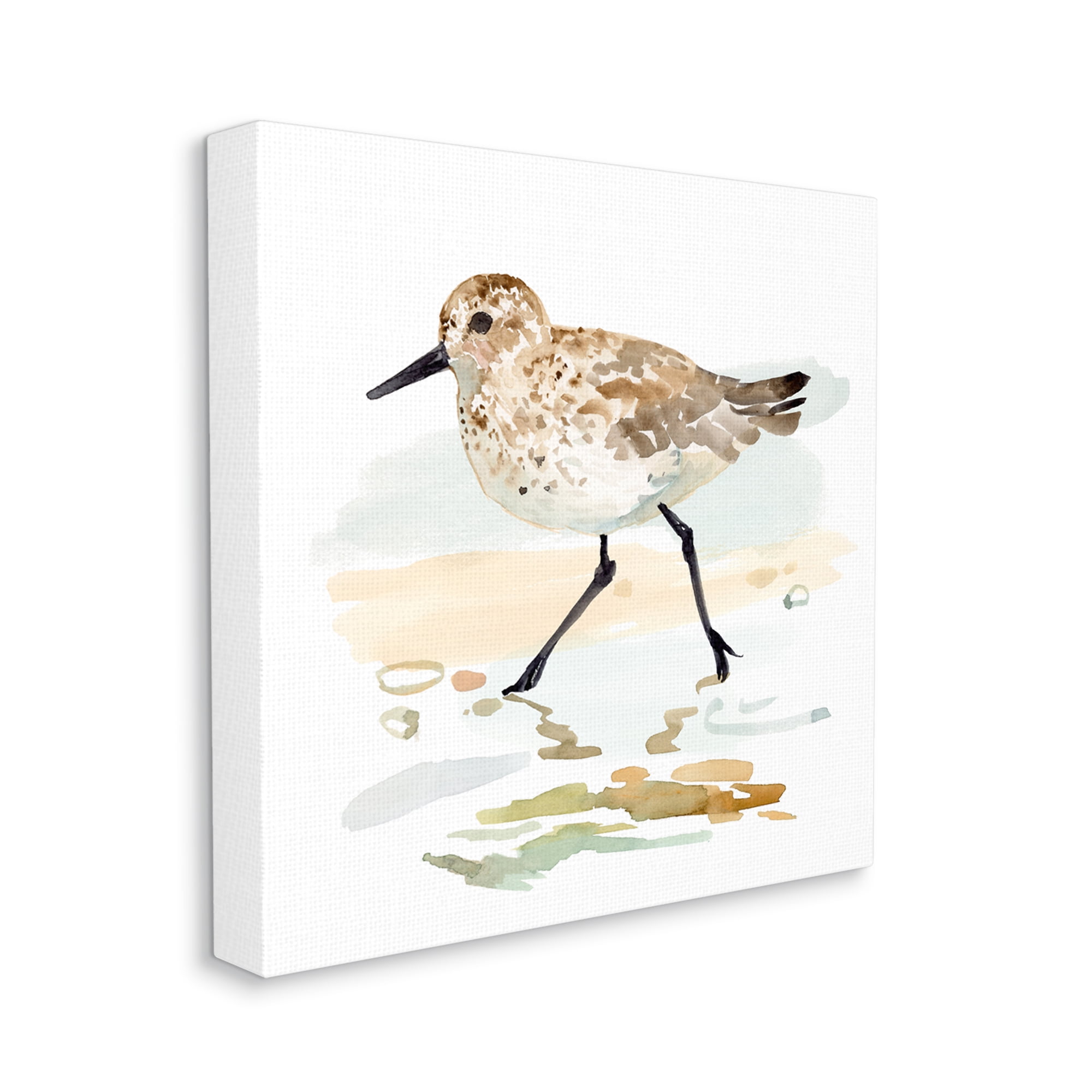 Stupell Industries Sandpiper Stepping on Shore Animals & Insects Painting Gallery Wrapped Canvas Art Print Wall Art, 24 x 24