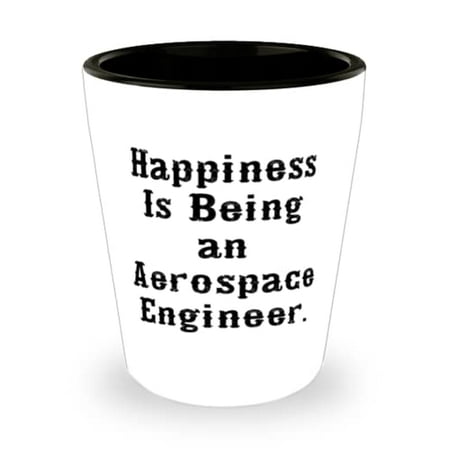 

Fancy Aerospace engineer Happiness Is Being an Aerospace Engineer Brilliant Holiday Shot Glass For Coworkers