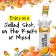 thumbnail image 5 of 99 Brand Mango Liqueur, 50ml Liquor, 49.5% Alcohol, 5 of 9