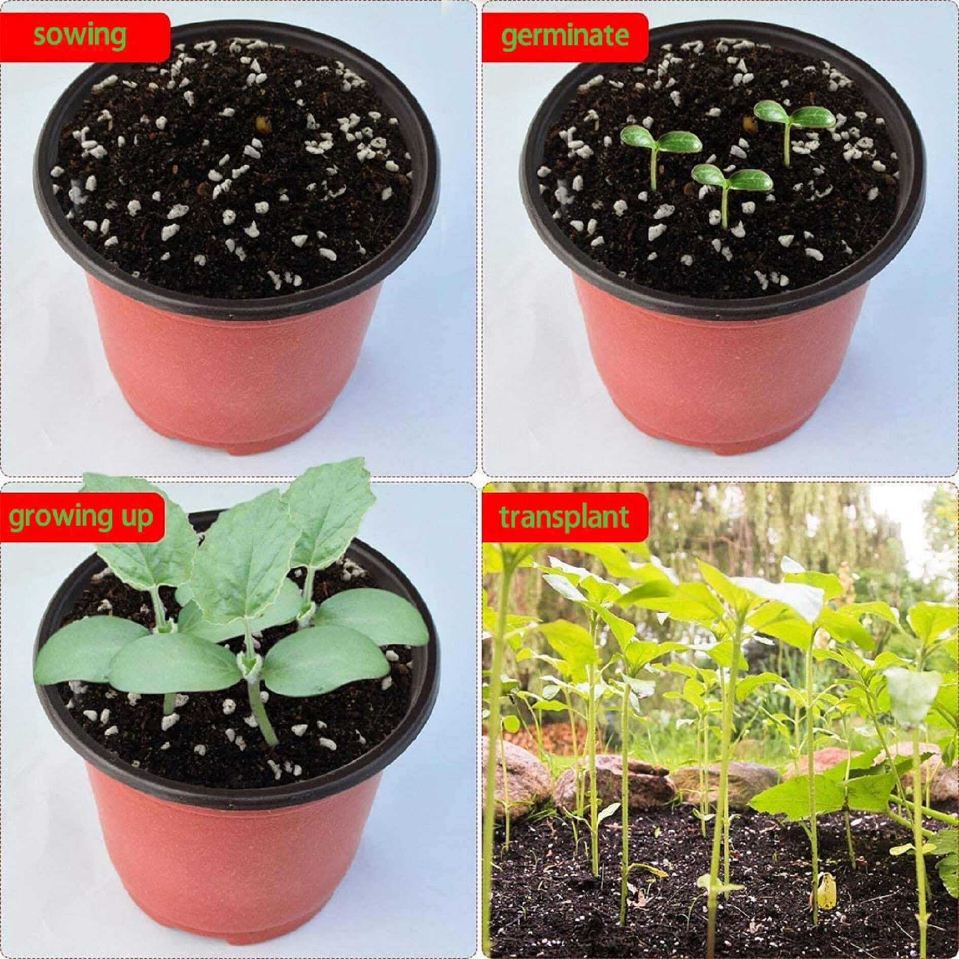 100 Pcs 5.9in Plastic Plants Nursery Pot Seedlings Flower Plant Pots Seed Starting Container