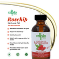 thumbnail image 4 of (3 pack) Capilo Pro Rose Hip Oil, Hair & Skin Nourishing Treatment, 100% Vegetable Oil, 2 oz, 4 of 9