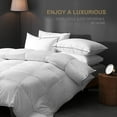 DWR Luxury Goose Feather Down Pillows for Sleeping 100 2 Pack Organic
