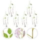 thumbnail image 4 of 6pcs boda decorativa flores simuladas wisteria flores boda flores, 4 of 6