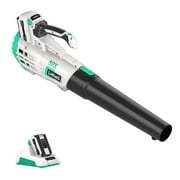 Litheli 40V Cordless Leaf Blower Max 350CFM for Blowing Leaf,Snow Blowing, with 2.0Ah Battery & Charger