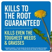 Roundup Weed and Grass Killer4 with Trigger Sprayer, 1 gal.
