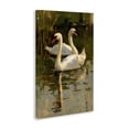 thumbnail image 2 of Stupell Industries Transitional Swans For A Swim Canvas Art, 16 x 24, by Petals Prints Design, 2 of 8
