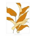 thumbnail image 3 of Vess, June Erica 18x24 Black Modern Framed Museum Art Print Titled - Modern Foliage II, 3 of 5