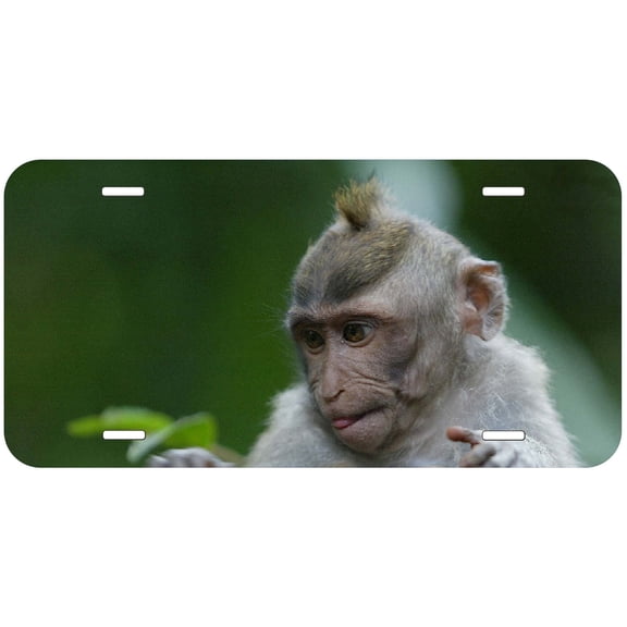 Monkey TAG11 Novelty Car Auto License Plate